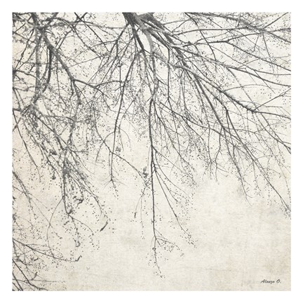 Framed Branches 2 Print