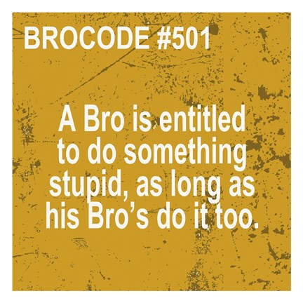 Framed Bro Code 501 Print