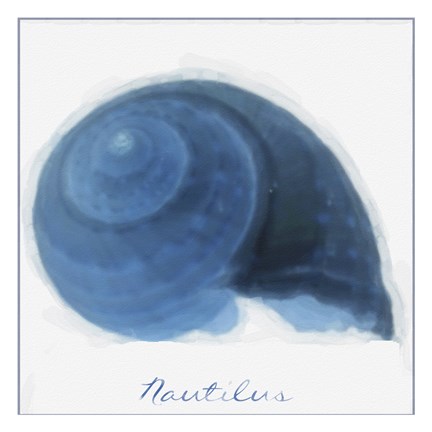 Framed Nautilus 2 Print