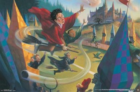 Framed Harry Potter - Quidditch Print