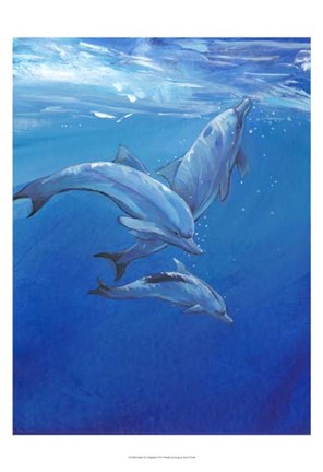 Framed Under Sea Dolphins Print