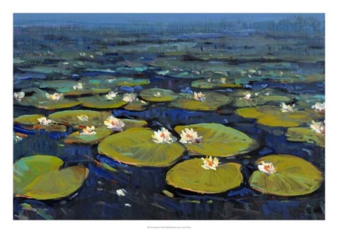 Framed Lily Pads II Print
