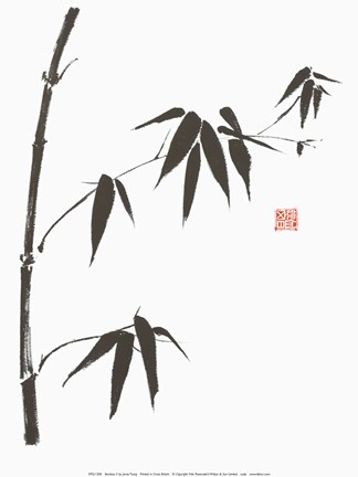 Framed Bamboo II Print