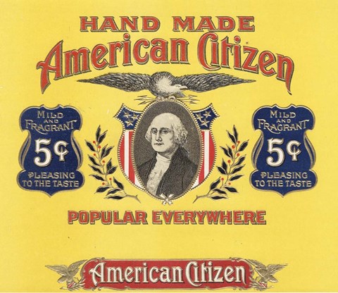 Framed American Citizen Print