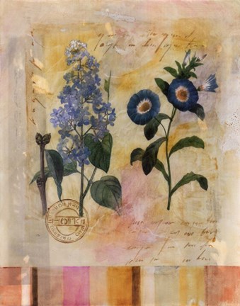 Framed Floral Postcard II Print