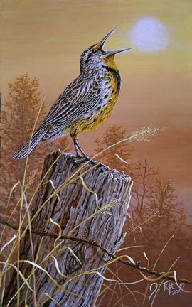 Framed Meadowlark Painting Print