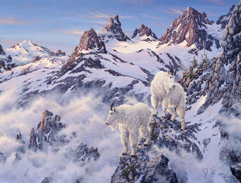 Framed Among The Clouds - Mtn. Goat Print