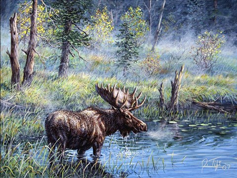 Framed Moose Painting 1 Print