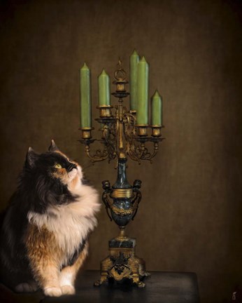 Framed Cat And The Candelabra Print