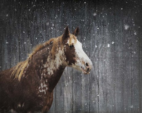 Framed Winters Arrival Horse Print