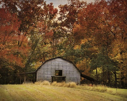 Framed Autumn Barn Print