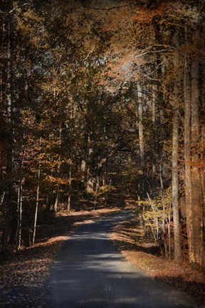 Framed Sunlit Autumn Path Print