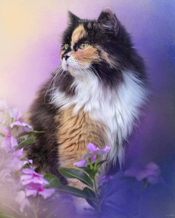 Framed Calico Kitty In The Garden Print