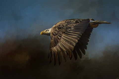 Framed Storm Chaser Bald Eagle Print
