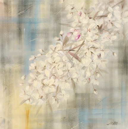 Framed White Cherry Blossom II Print
