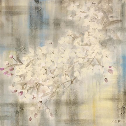 Framed White Cherry Blossom IV Print