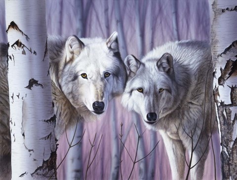 Framed White Wolves By Birch Print