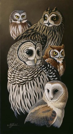 Framed Eyes Of The Night - Owls Print