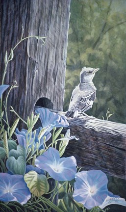 Framed Fledgling - Young Mockingbird Print