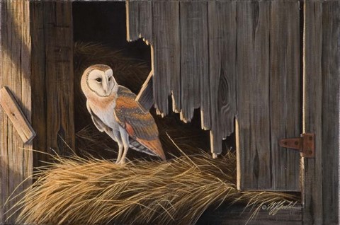 Framed Ready For The Hunt Barn Owl Print