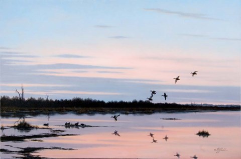 Framed Sunset March Black Ducks Print