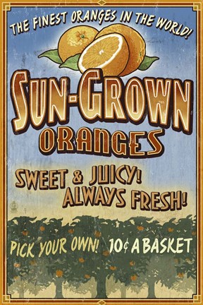 Framed Sun Grown Oranges Print