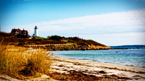 Framed Nobska Lighthouse Landscape Print