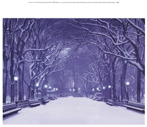 Framed Winter In Central Park Print