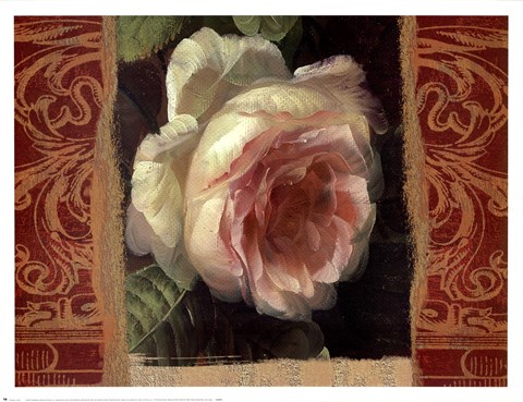 Framed Classic White Rose Print