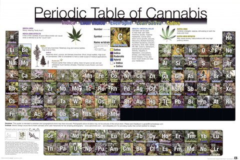 Framed Periodic Table - Cannabis Print