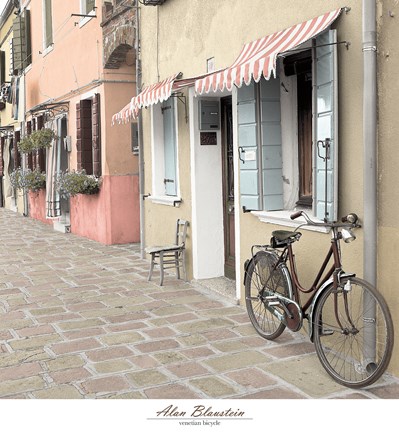 Framed Venetian Bicycle Print