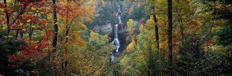 Framed Raven Cliff Falls, Sumter National Forest, Greenville County, South Carolina Print