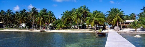 Framed Oceanfront Pier, Caye Caulker, Belize Print