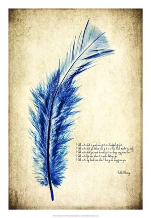 Framed Feather in Color I Print