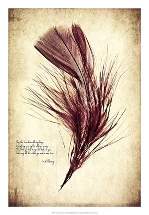 Framed Feather in Color III Print