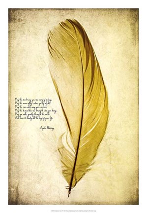 Framed Feather in Color IV Print