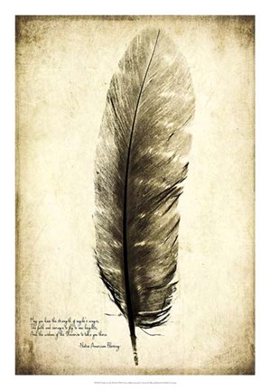 Framed Feather on the Wind I Print