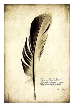 Framed Feather on the Wind III Print