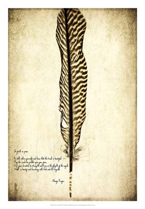 Framed Feather on the Wind V Print