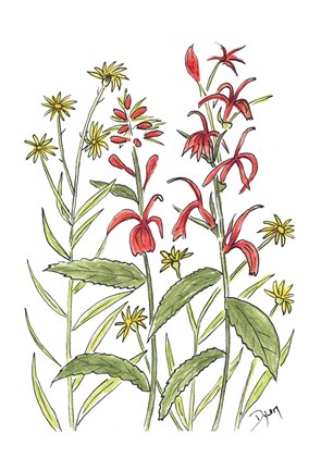 Framed Cardinal Flower Print