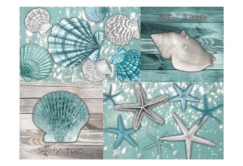 Framed Shell Collage Print