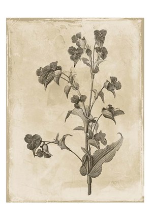 Framed Floral Earthtone Three Print