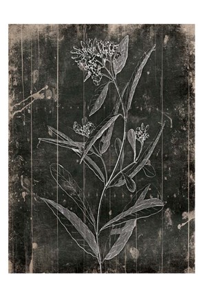 Framed Wood Floral Print