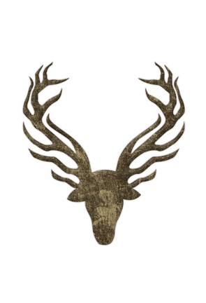 Framed Aged Deer Print