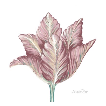 Framed Romantic Tulip 1 Print