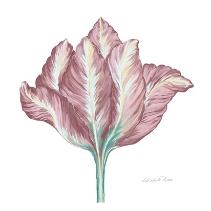 Framed Romantic Tulip 2 Print