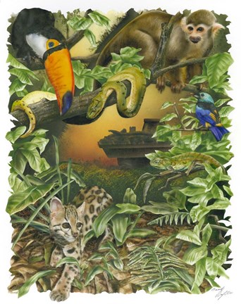 Framed Endangered Rainforest Print