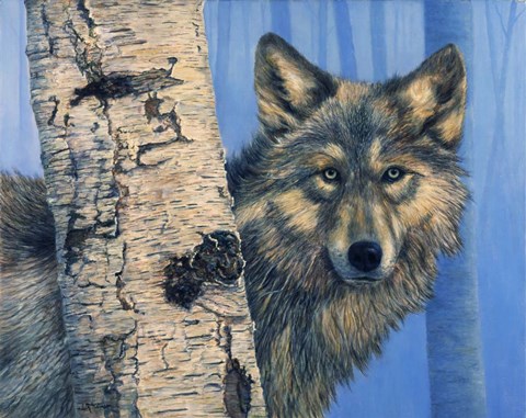 Framed Birch Wolf Print