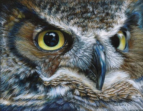Framed Dark Owl Print