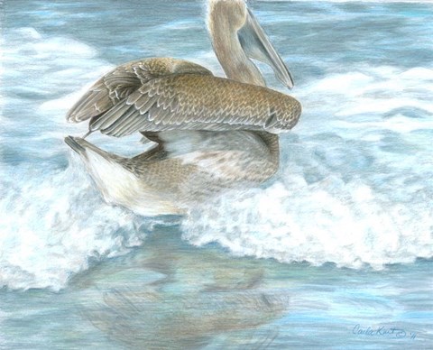 Framed Pelican Surf Print